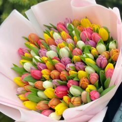 MIx Tulips
