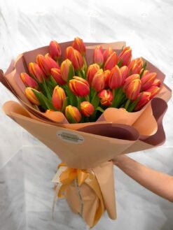 50 Stems of Orange Tulips