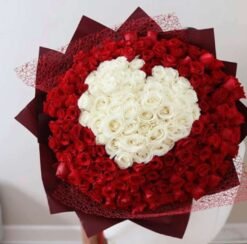 201 Premium Roses
