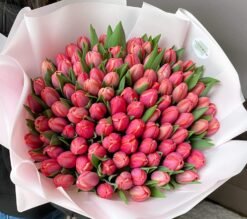 Pink Passion