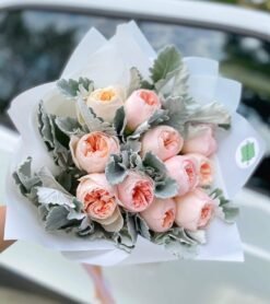 11 Juliet Rose