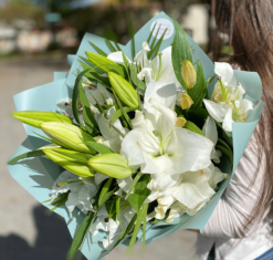 Lily Romance Medium