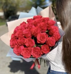 25 Explorer Red Roses