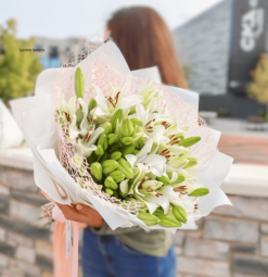 White Lily