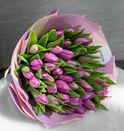 50 Lavender Tulips