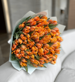 100 Orange  Double Tulips
