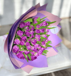 50 Double Lavender Tulips