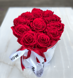 11 Red Roses That Last a Year