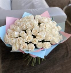 50 Vendela Roses