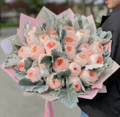 Garden Roses "Juliet"