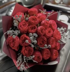 Garden Roses "Red Piano"