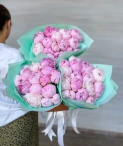 Pink Peonies Bundle