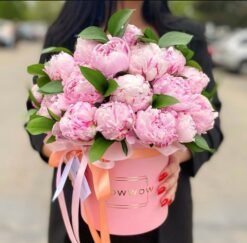 Box of Peonies "Sarah Bernhard"