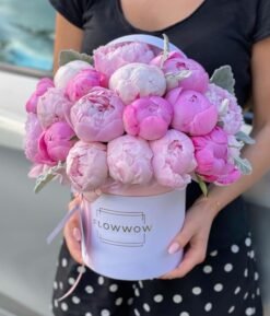 Pink Peonies
