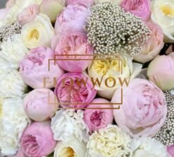 Florist Choise