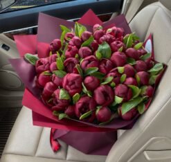50 Red Peonies