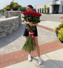 50 Extra Long Red Roses