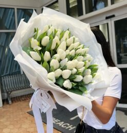 White Tulips Sensation