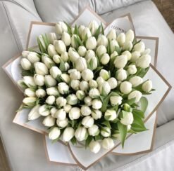 100 White Tulips