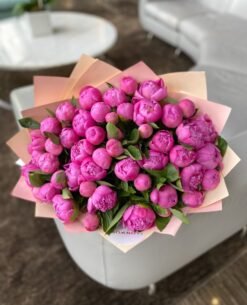 50 Pink Peonies