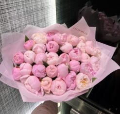 35 Peonies "Sarah Bernhard"