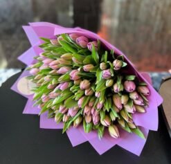 100 Lavender Tulips