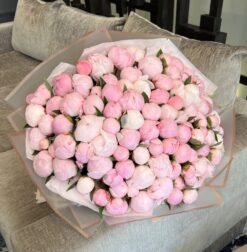 100 Pink Peonies