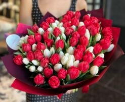 100 Tulips Mix
