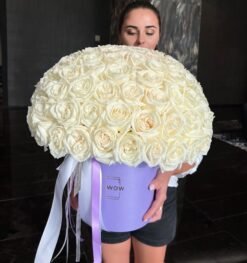 White Elegant Box