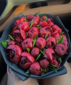 Red Love of Peonies