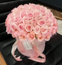 Soft Blushes