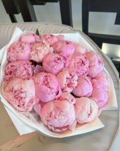 Blush Peonies