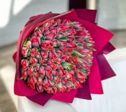 100 Red Double Tulips