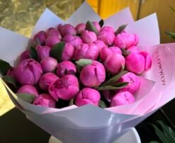 35 Pink Passion Peonies