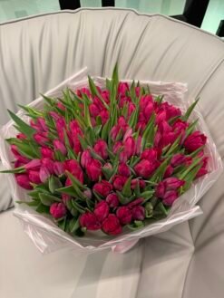 100 Pink Tulips